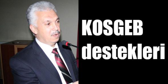 KOSGEB destekleri