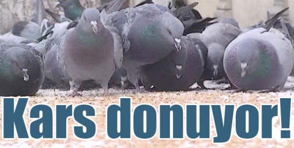 Kars donuyor!