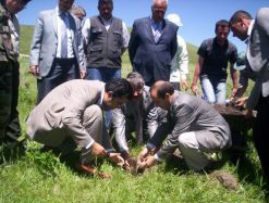 Şehidin Ormanı Yeşerecek