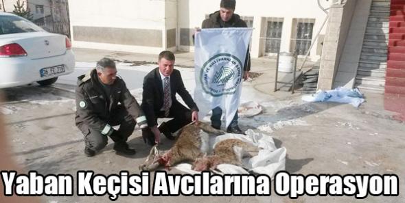 Yaban Keçisi Avcılarına Operasyon