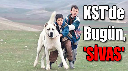 KST'de Bugün, 'SİVAS'
