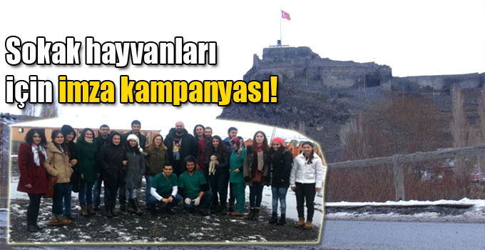 Sokak hayvanları için imza kampanyası!