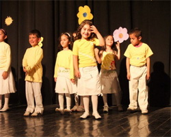 Muhteşem Gösteri