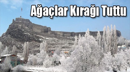 Ağaçlar Kırağı Tuttu