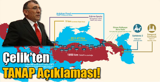 Çelik’ten TANAP Açıklaması!