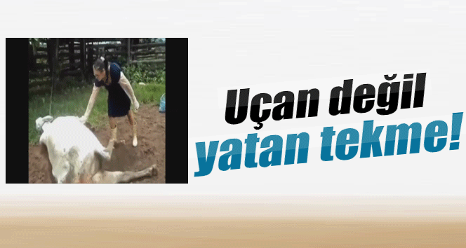 Uçan değil, yatan tekme!