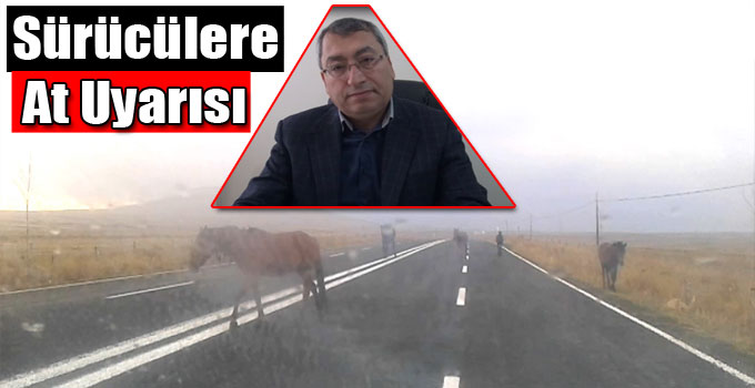 Sürücülere At Uyarısı