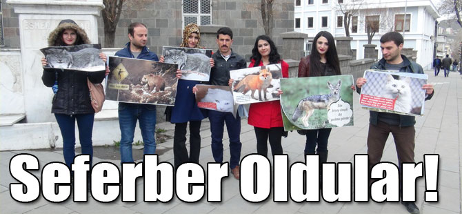 Seferber Oldular!