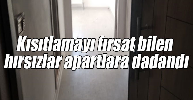 Kısıtlamayı fırsat bilen hırsızlar apartlara dadandı