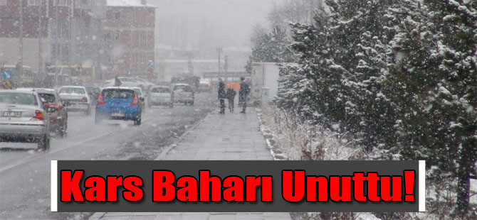 Kars Baharı Unuttu!