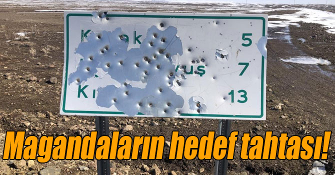 Kars’ta, tabelalar magandaların hedef tahtası oldu