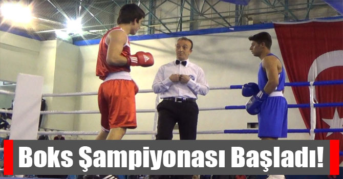 Boks Şampiyonası Başladı!