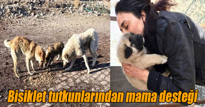 Bisiklet tutkunlarından can dostlarına mama desteği