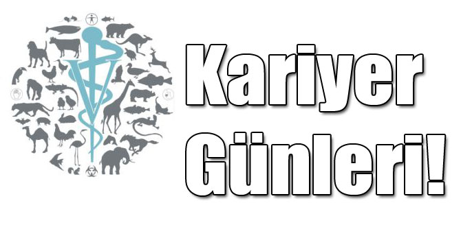 Kariyer Günleri!