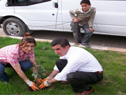 Parklara çiçek ekimi