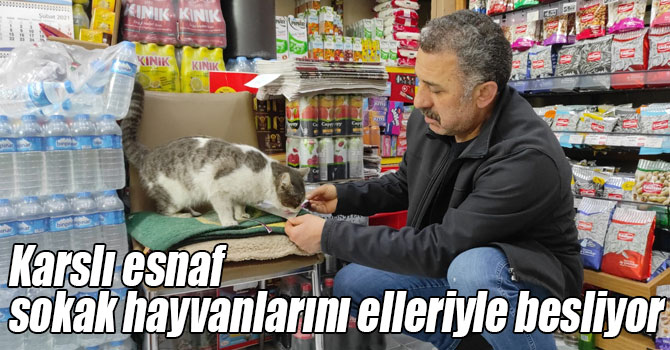 Karslı esnaf sokak hayvanlarını elleriyle besliyor