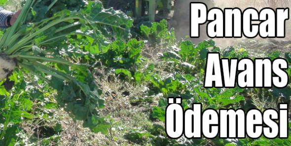 Pancar Avans Ödemesi