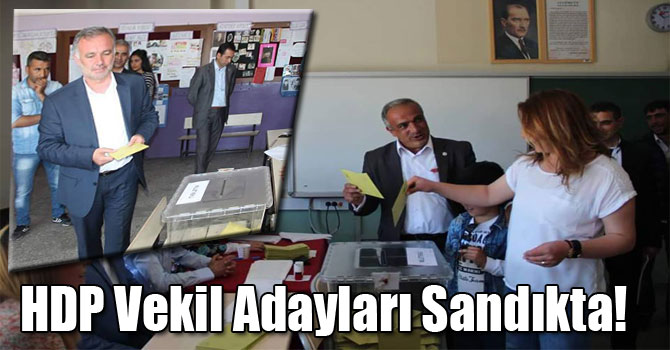 HDP Vekil Adayları Sandıkta!