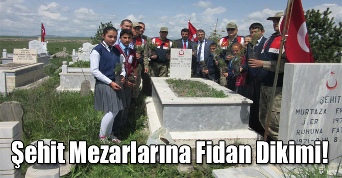 Şehit Mezarlarına Fidan Dikimi!