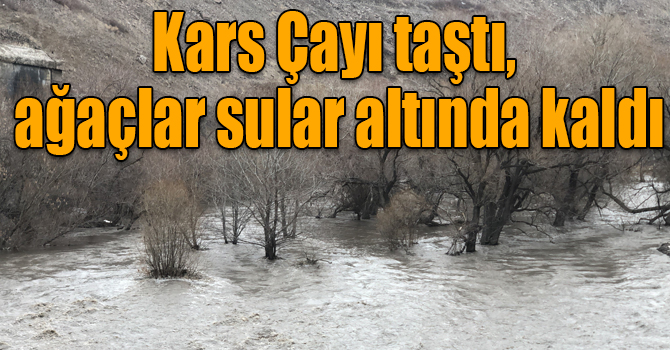 Kars Çayı taştı, ağaçlar sular altında kaldı