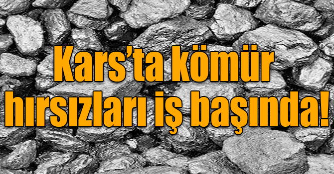 Kars’ta kömür hırsızları iş başında!