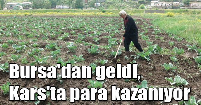 Bursa'dan geldi, Kars'ta para kazanıyor