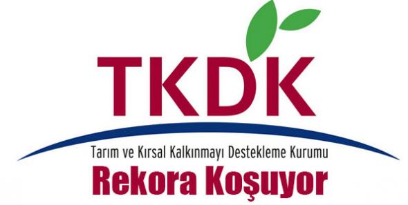 TKDK rekora koşuyor