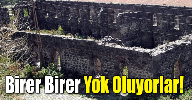 Birer Birer Yok Oluyorlar!