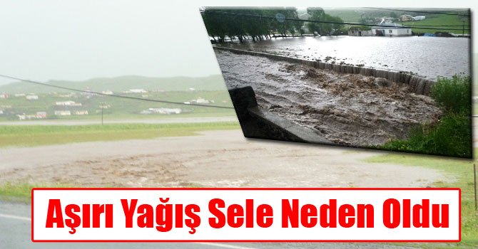 Aşırı Yağış Sele Neden Oldu
