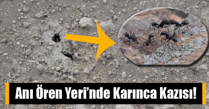 Anı Ören Yeri’nde Karınca Kazısı!