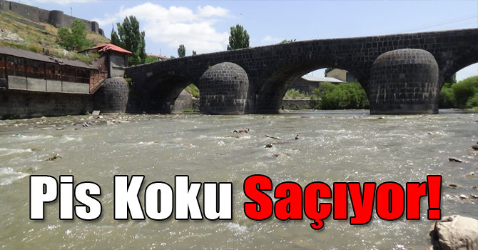 Pis Koku Saçıyor!