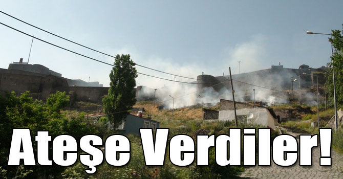Kars Kalesi eteklerinde ot yangını