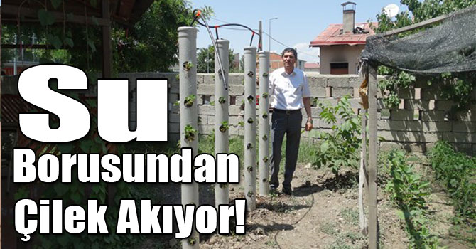 Su Borusundan Çilek Akıyor!