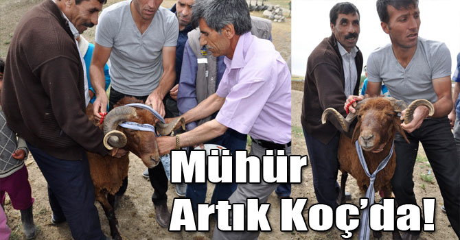 Mühür Artık Koç'da!