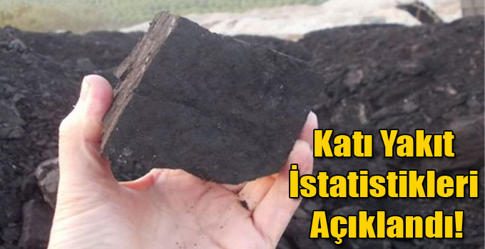 Katı Yakıt İstatistikleri Açıklandı!