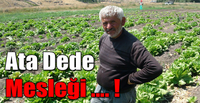 Ata Dede Mesleği .... !