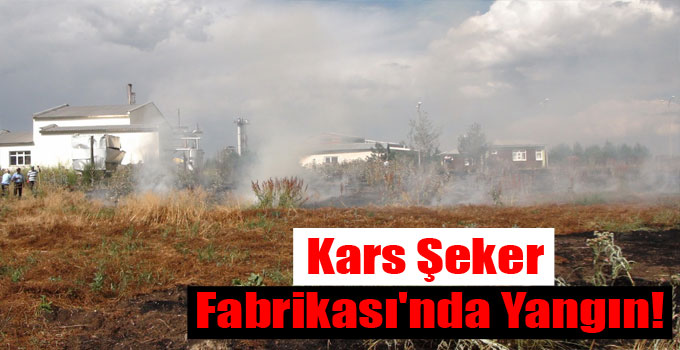 Kars Şeker Fabrikası Ağaçlandırma Alanında Yangın Çıktı