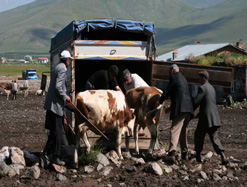 ARDAHAN'DA KARANTİNA UYGULAMASI SONA ERDİ