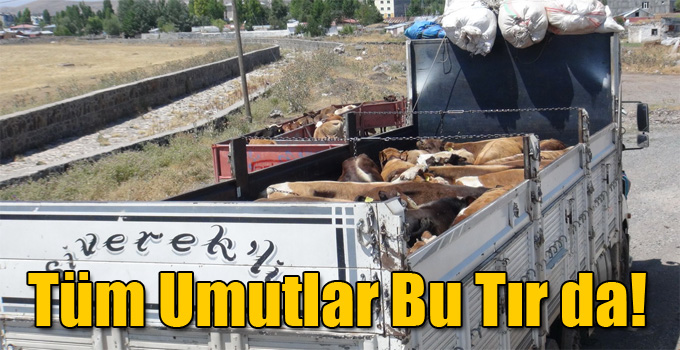 Tüm Umutlar Bu Tır da!
