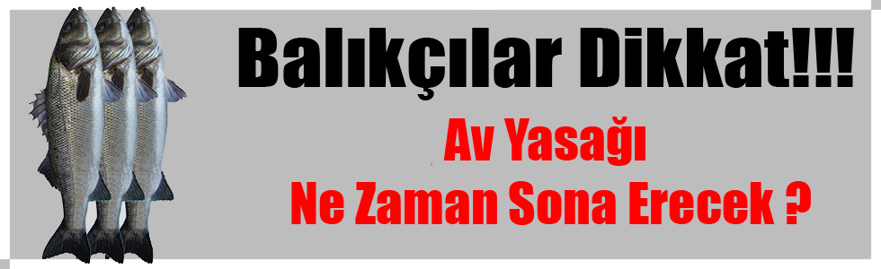 Kars'ta Balık Avı Yasağı Sona Erdi!