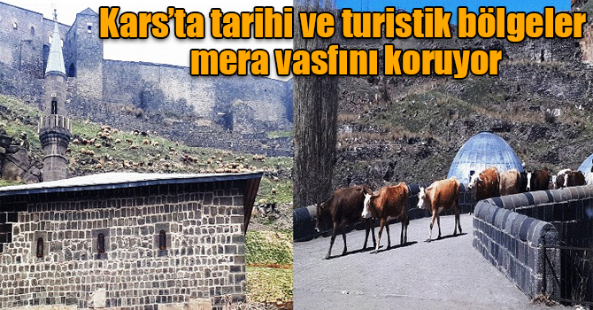 Kars’ta tarihi ve turistik bölgeler mera vasfını koruyor