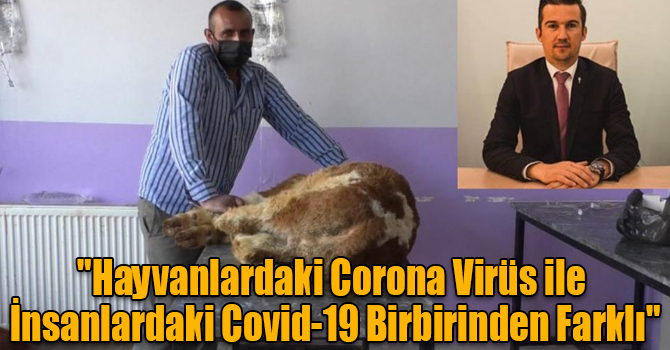 Veteriner Hekimleri Odası Başkanı Ödül : "Hayvanlardaki Corona Virüs ile İnsanlardaki Covid-19 Birbirinden Farklı "