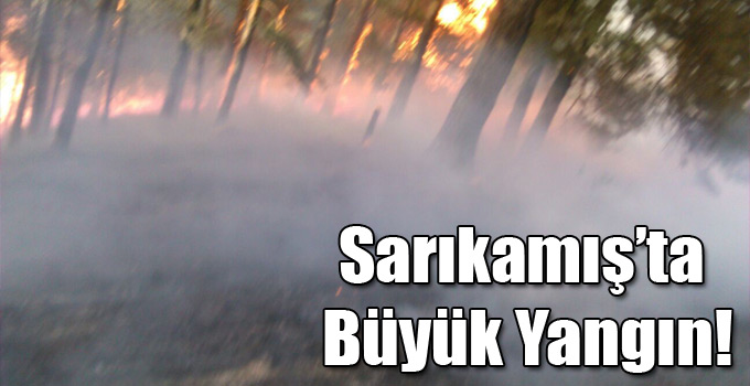 Sarıkamış’ta  Büyük Yangın!