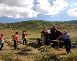 Tatil iş demek