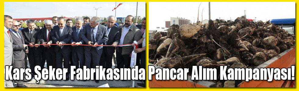 Kars Şeker Fabrikasında Pancar Alım Kampanyası!