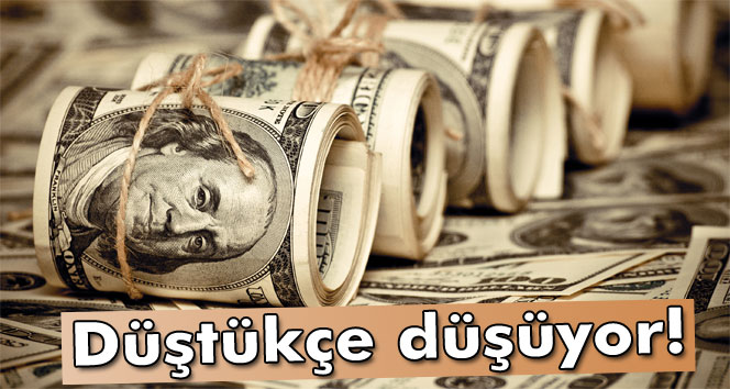 Dolar 2,88'in Altında