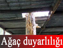 Ağaç duyarlılığı