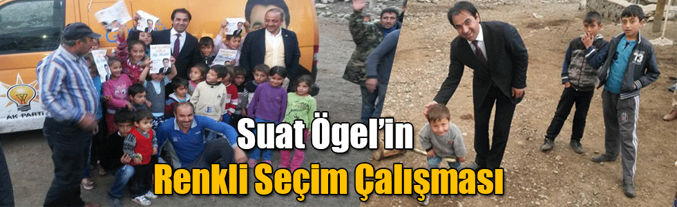 Suat Ögel’in Renkli Seçim Çalışması