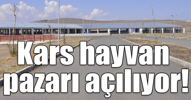 Kars hayvan pazarı açılıyor!