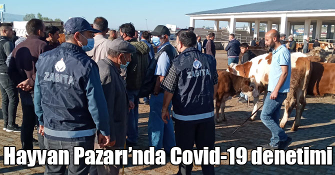 Kars Hayvan Pazarı’nda Covid-19 denetimi